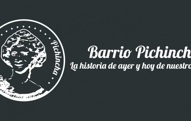 Web de Barrio Pichincha