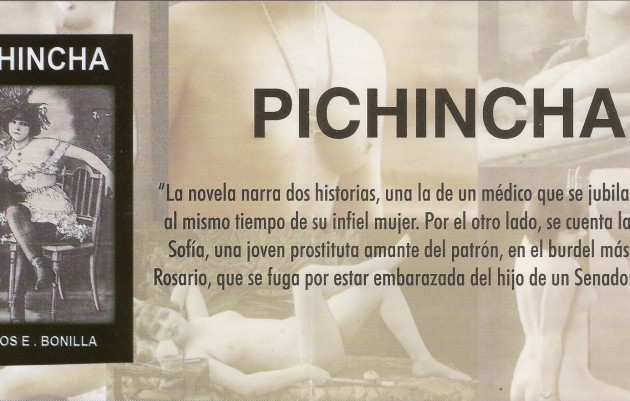Pichincha: La novela de Carlos Bonilla